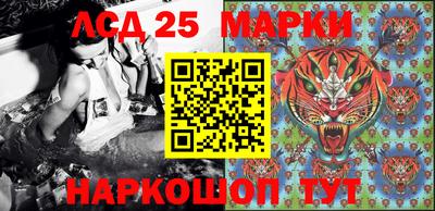 спиды Коммунар