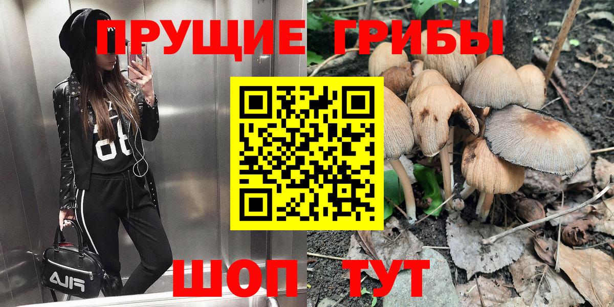 Псилоцибиновые грибы GOLDEN TEACHER  Вход с VPN  Кизилюрт 
